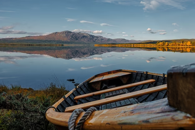 Exploring the World of Wide Canoes