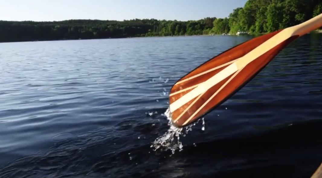 Canoe paddle on water