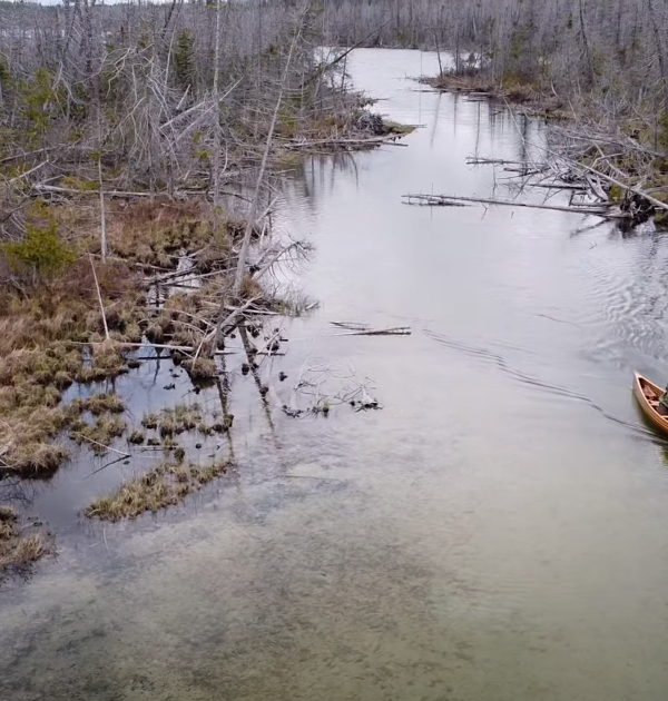 A Guide to Getting Started with Canoeing