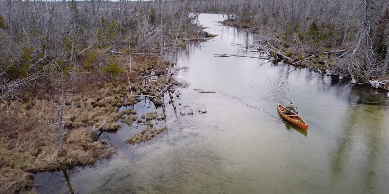 A Guide to Getting Started with Canoeing